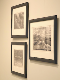 A trio of lithographs from Jim Creal's South Carolina Coastal Lithograph Project on display in Presbyterian College's Bailey Gallery in Neville Hall.